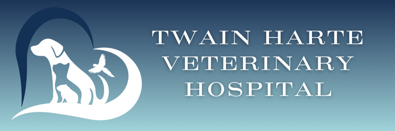 Twain Harte Veterinary Hospital